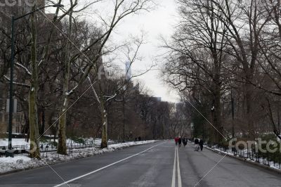 Central park by the UES