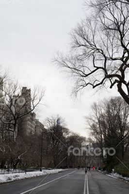 Road in Central Park