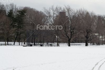 Baseball in Central Park