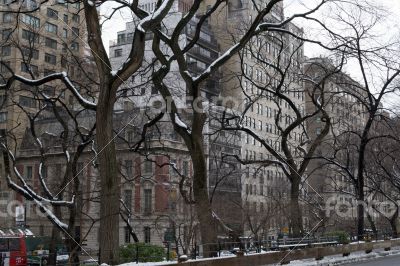 UES from Central Park