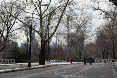 Running in central park