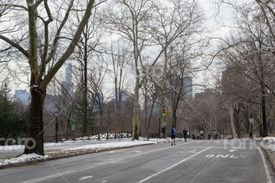 Fitness in Central Park