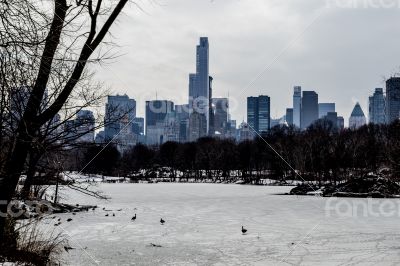 Midtown in winter from Central Park