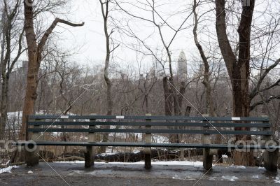 Bench in Central park