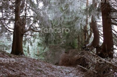 winter calm mountain landscape