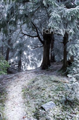 winter calm mountain landscape