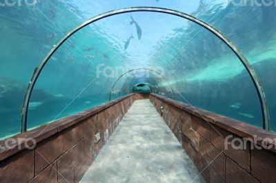 Aquarium Tunnel