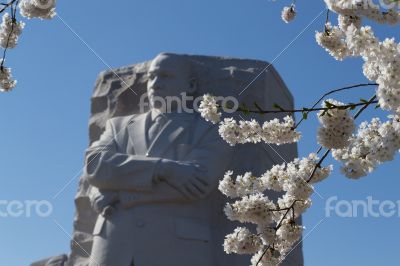 Martin Luther King and the flowers