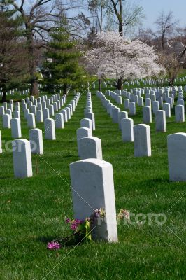 Arlington Cemetery tumb