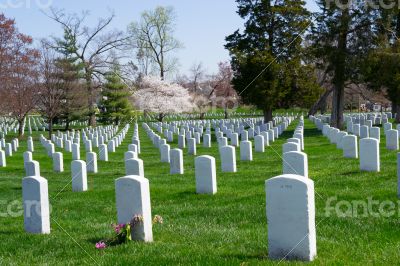 Arlington Cemetery graves