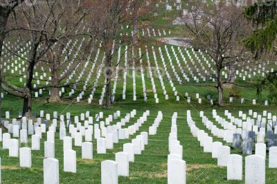 White gravestones