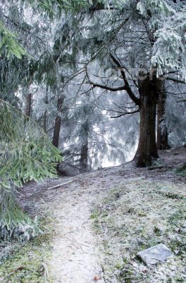 winter calm mountain landscape