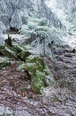 winter calm mountain landscape