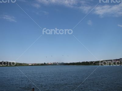 blue sky, water and green forest