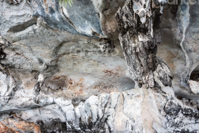 Ancient paintings on cave walls