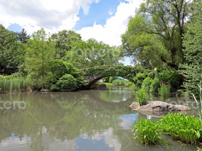 Bridge over River