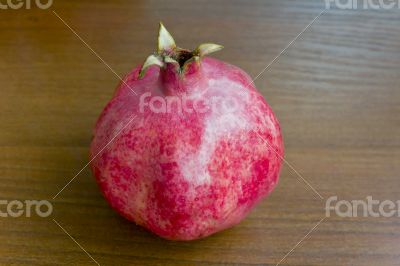 One pomegranate