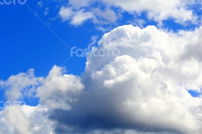 Image of summer fluffy sky