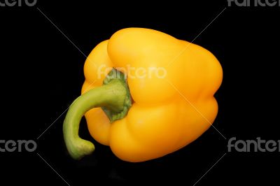 Red and yellow raw pepper