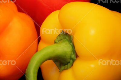 Red and yellow raw pepper