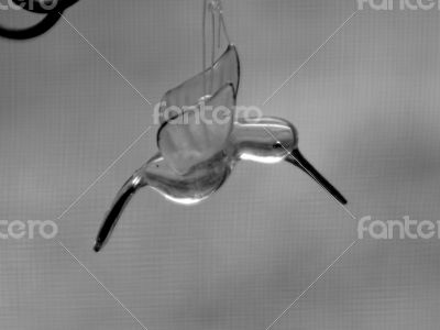 Glass Hummingbird 