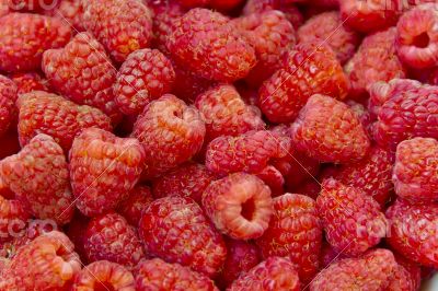 Background raspberry