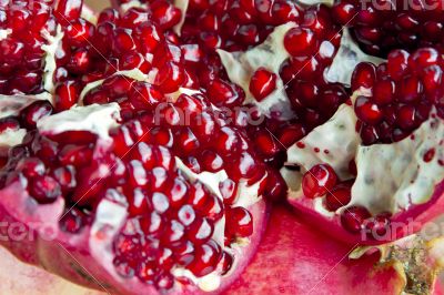 Open pomegranate