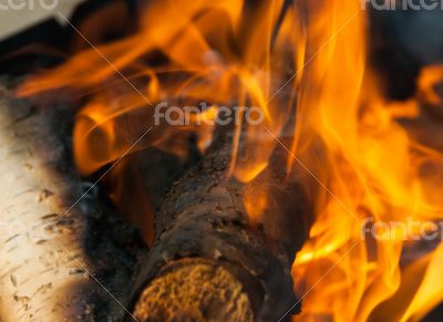 Burning fire wood