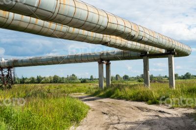 Elevated section of the pipelines 