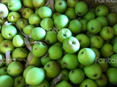 Green Apples