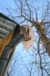 Icicles on a drainpipe