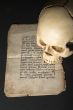 skull and old paper
