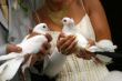 White pigeons