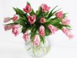 Bouquet of tulips