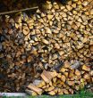 Rich of firewood