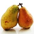 Two pears