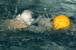 Water-polo