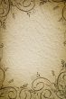 grunge floral background with space for text