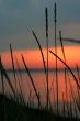 Landscape. Dawn on lake