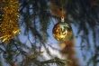 Christmas tree with ball