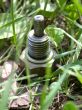 iron switch in herb