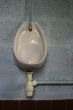 Porcelain urinal on blue wall