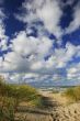Trail to the Beach