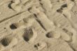 Footprints in the sand.
