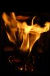 Burning paper and firewood