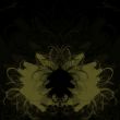 Black grunge background