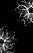 Vertical black background with white ornament
