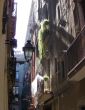 Street of old Barcelona