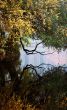 Park lake in the autumn