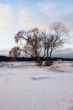 Autumn morning after a snow storm